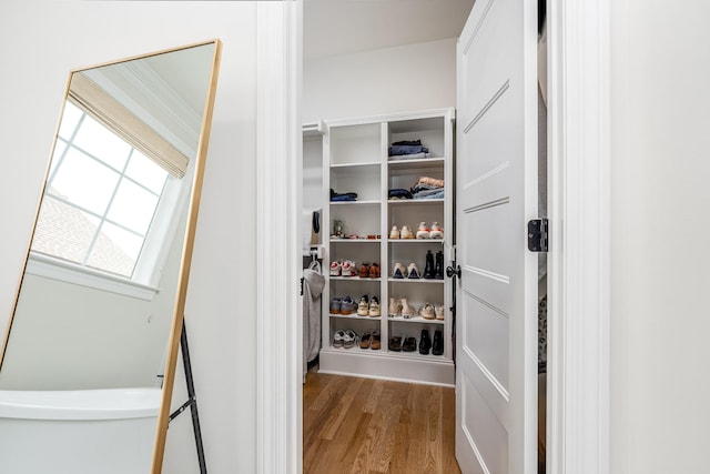 spacious closet with wood-type flooring