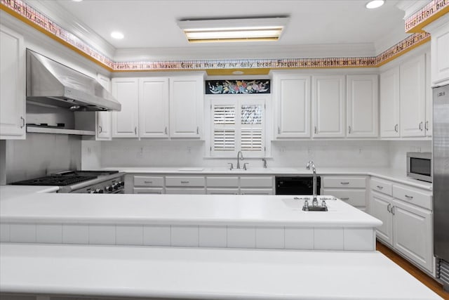 kitchen with sink, white cabinetry, stainless steel appliances, tasteful backsplash, and wall chimney exhaust hood