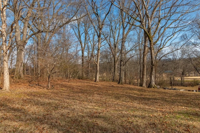 view of landscape