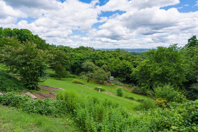 540 N Crest Ct, Chattanooga, TN 37404 - view of nature