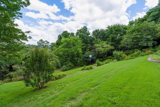540 N Crest Ct, Chattanooga, TN 37404 - view of grassy yard