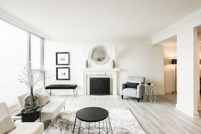 living room featuring crown molding, light hardwood / wood-style floors, and a textured ceiling