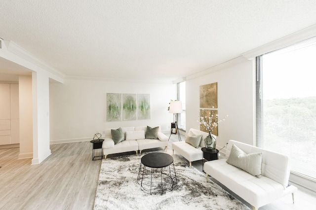 living room featuring a textured ceiling, light wood-type flooring, and ornamental molding