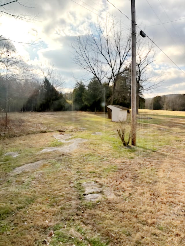 view of yard featuring a shed