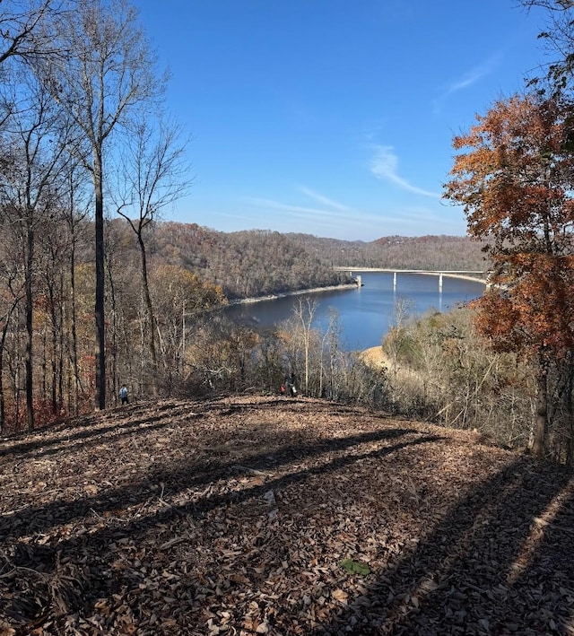 0 Bridge Pointe Rd, Sparta TN, 38583 land for sale