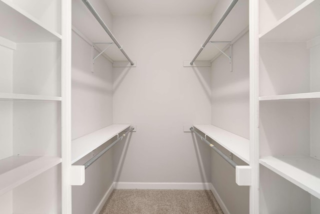 walk in closet with carpet flooring