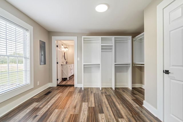 walk in closet with dark hardwood / wood-style flooring and electric panel