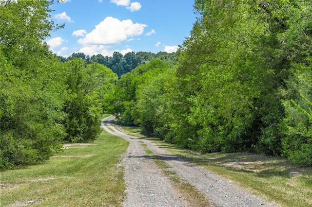 view of road