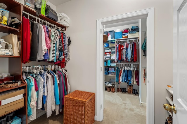 spacious closet featuring carpet floors