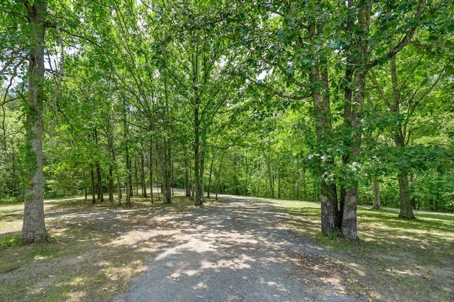 11671 Central Pike, Mount Juliet, TN 37122 - photo 52
