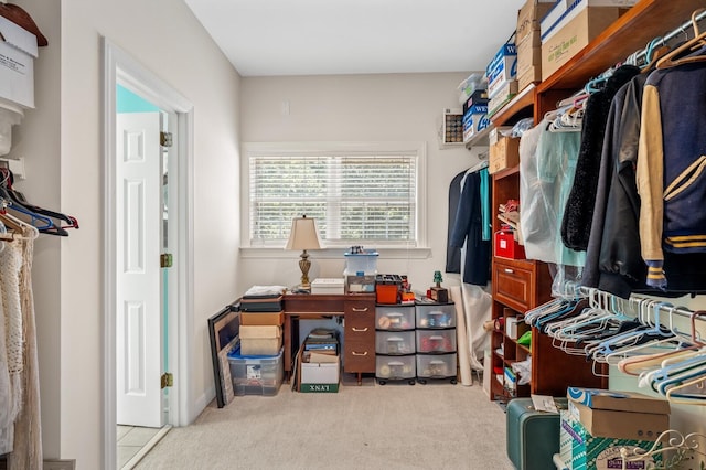 walk in closet featuring carpet floors