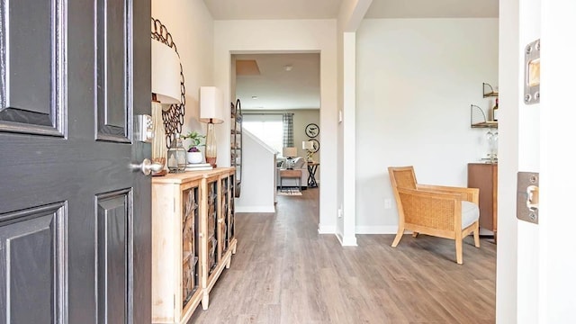 entryway featuring hardwood / wood-style floors