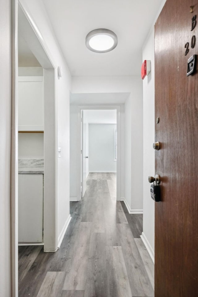 hallway with light wood-type flooring