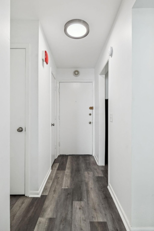 hall with dark wood-type flooring