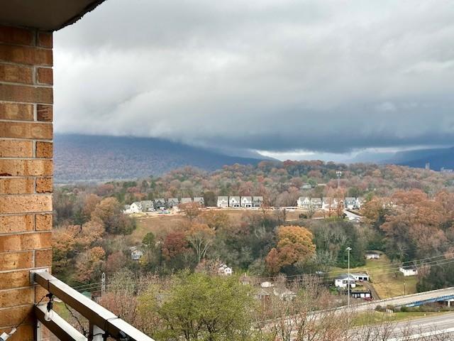 view of mountain feature