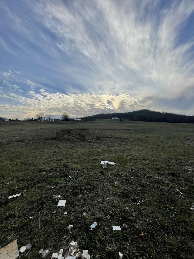 view of yard with a rural view