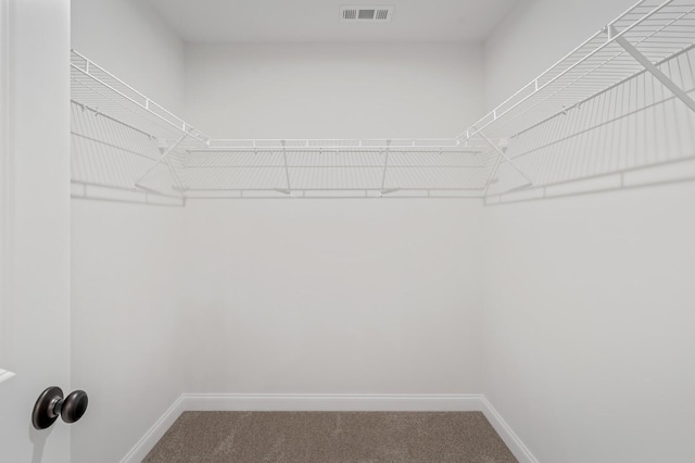 spacious closet featuring carpet