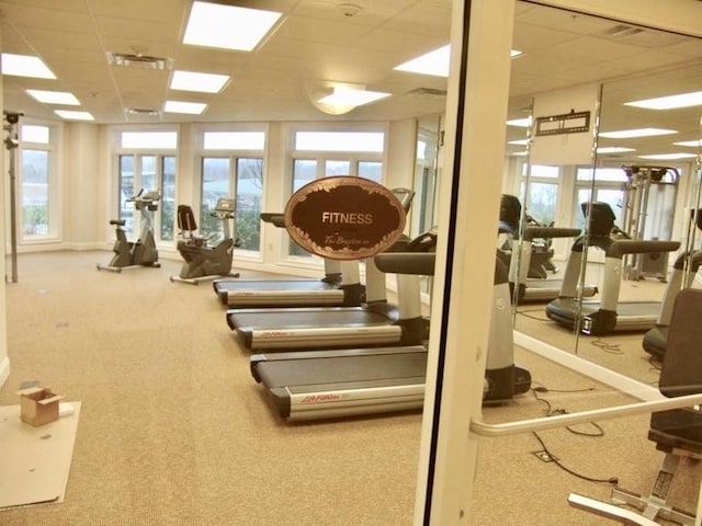 gym with carpet floors and a drop ceiling