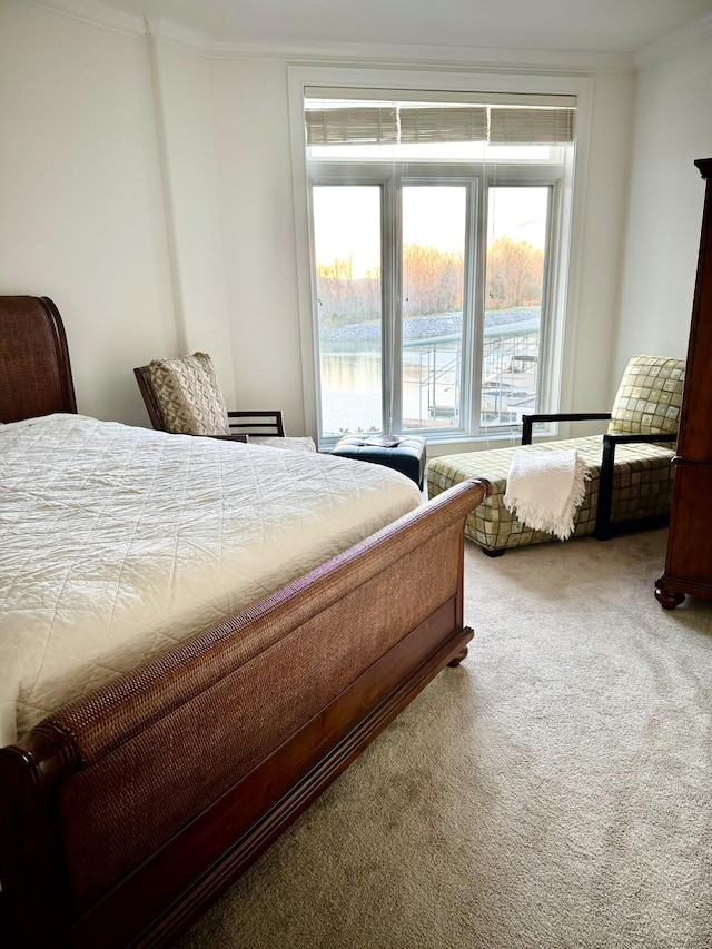 carpeted bedroom with ornamental molding and a water view