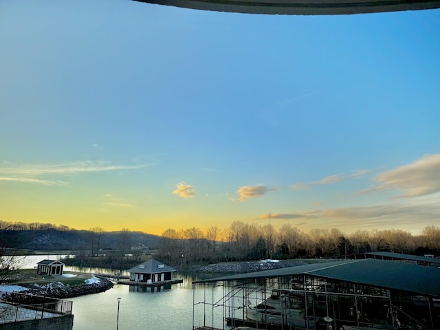 water view featuring a boat dock