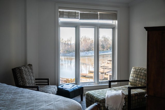 400 Warioto Way Unit 206, Ashland City, TN 37015 - bedroom featuring multiple windows