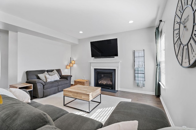 living room with hardwood / wood-style floors and a wealth of natural light