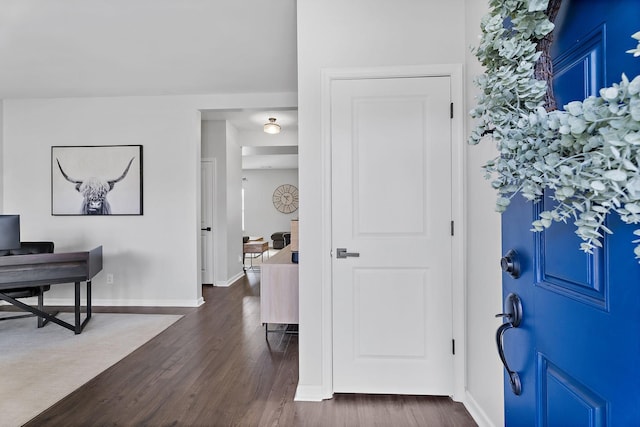 foyer featuring dark wood-type flooring