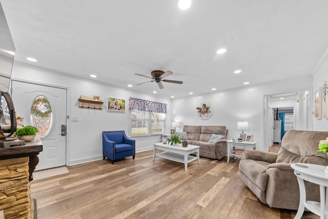 living room with ceiling fan, ornamental molding, and light wood-type flooring