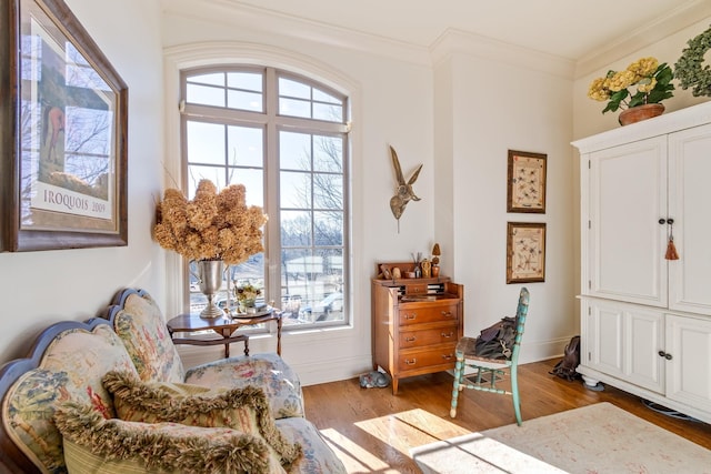 living area with ornamental molding and light hardwood / wood-style floors