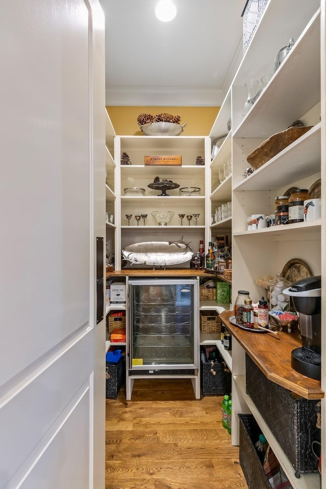 pantry with beverage cooler