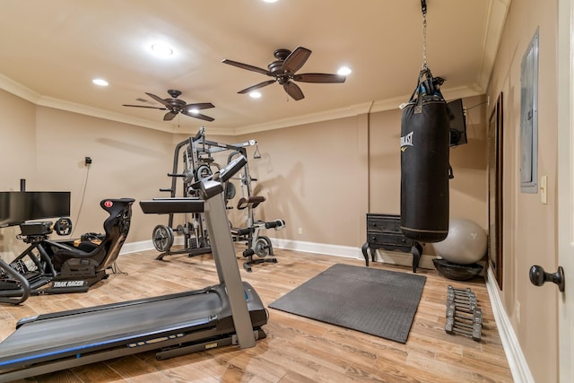 workout area featuring wood-type flooring, ornamental molding, and ceiling fan