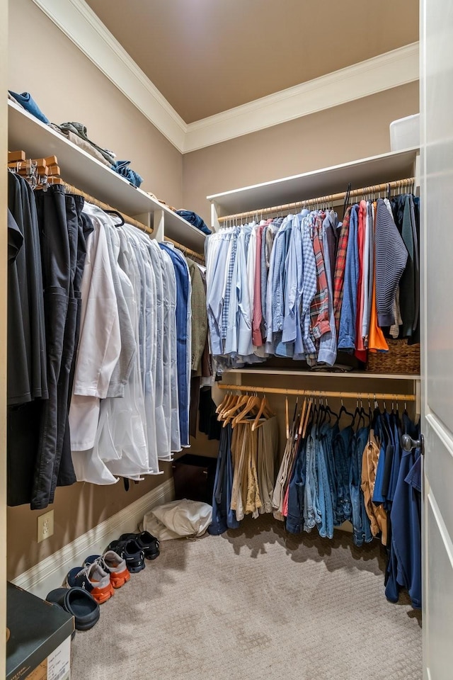 walk in closet with carpet floors