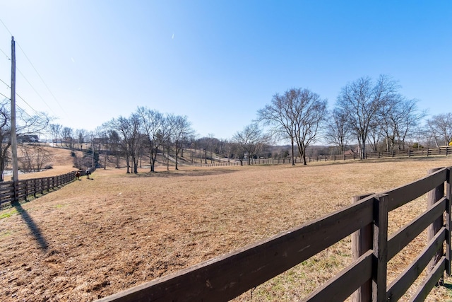 view of yard with a rural view