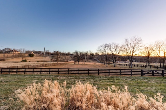 view of yard with a rural view