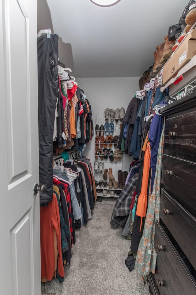 spacious closet with light carpet