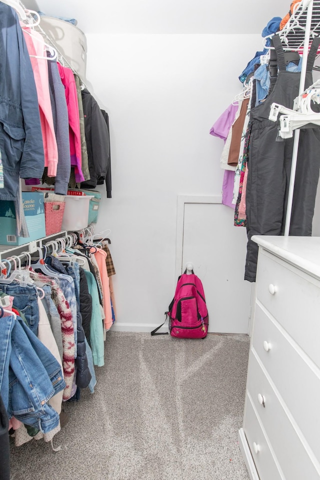 walk in closet with carpet