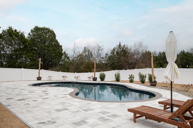 view of swimming pool featuring a patio