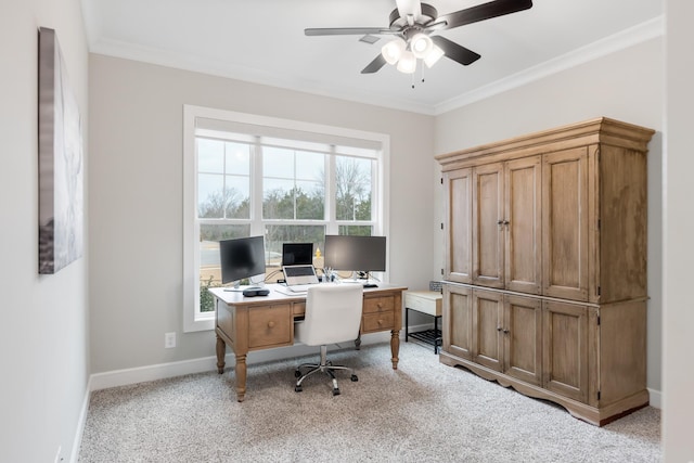 carpeted office with ceiling fan, crown molding, and a wealth of natural light