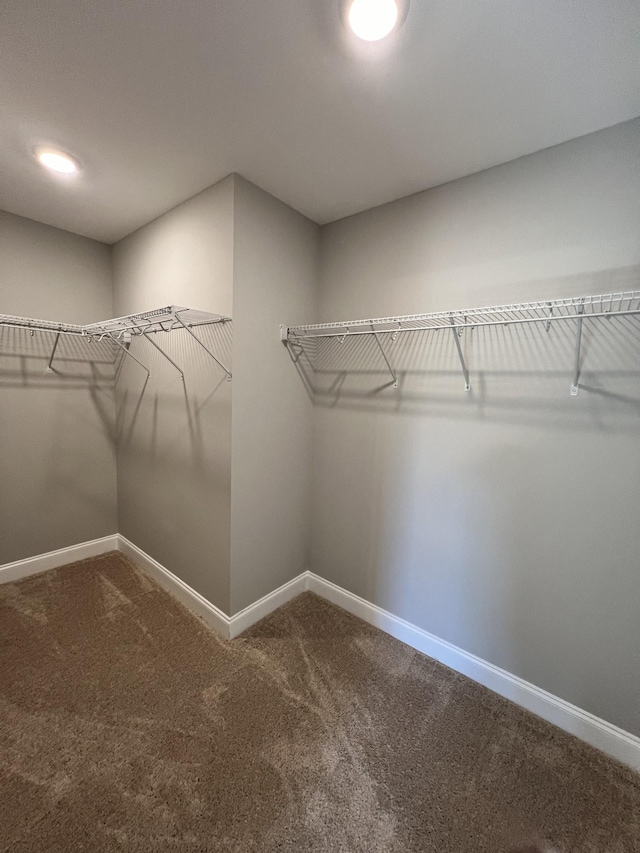 walk in closet featuring carpet