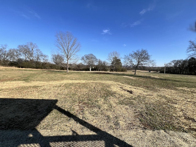 view of yard featuring a rural view