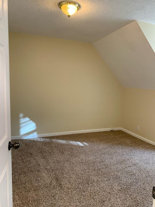 additional living space with carpet flooring, lofted ceiling, and a textured ceiling