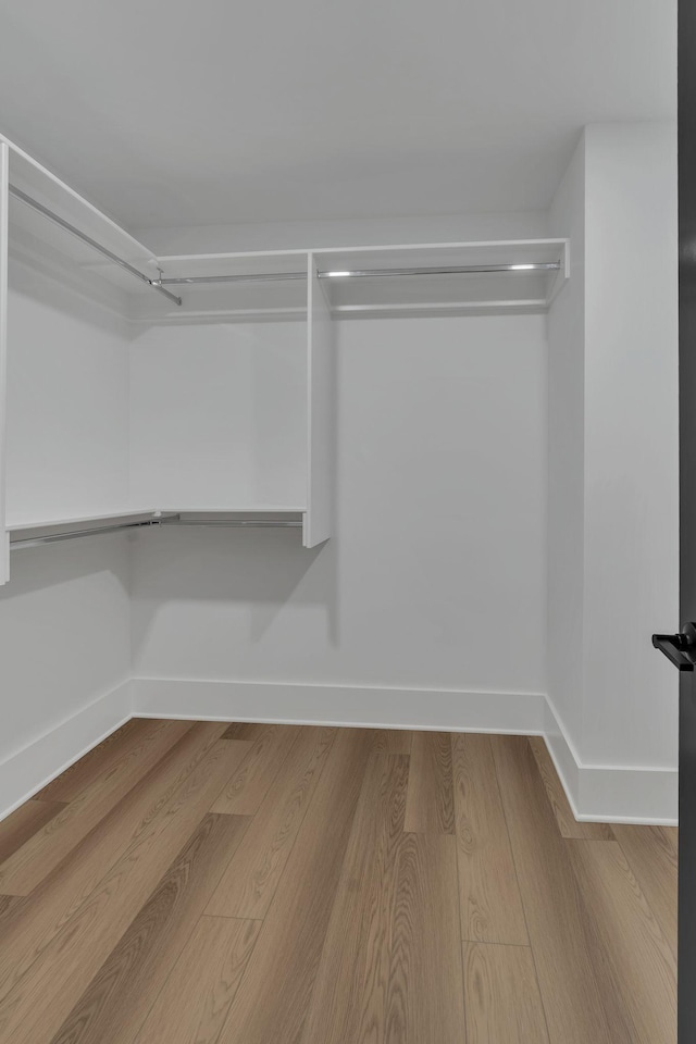 spacious closet with hardwood / wood-style flooring