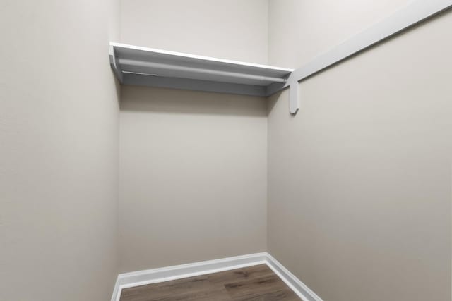 spacious closet with dark wood-type flooring