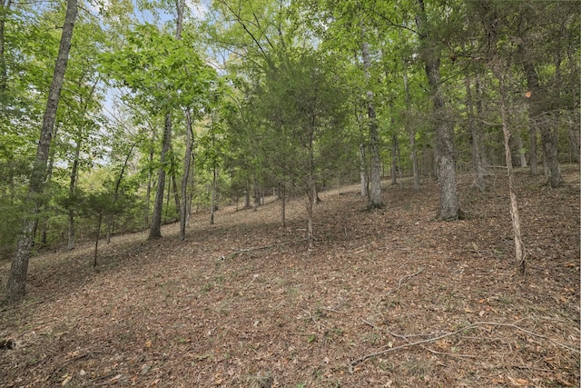 view of landscape