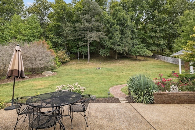 view of yard featuring a patio area