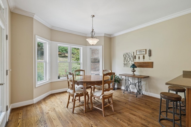 dining room featuring hardwood / wood-style flooring and ornamental molding