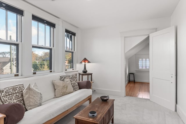 carpeted living room with a healthy amount of sunlight