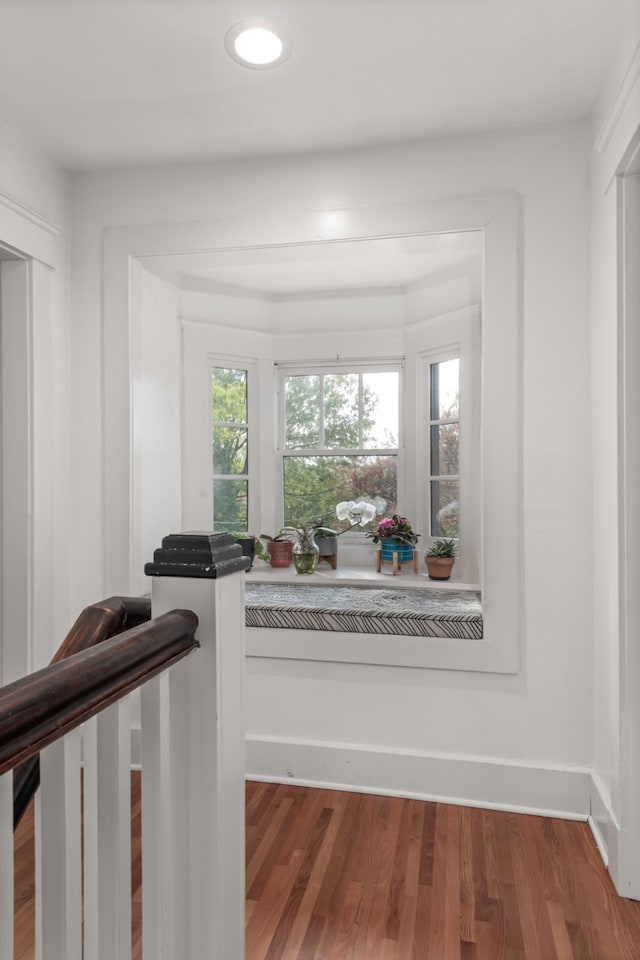 hall featuring dark wood-type flooring