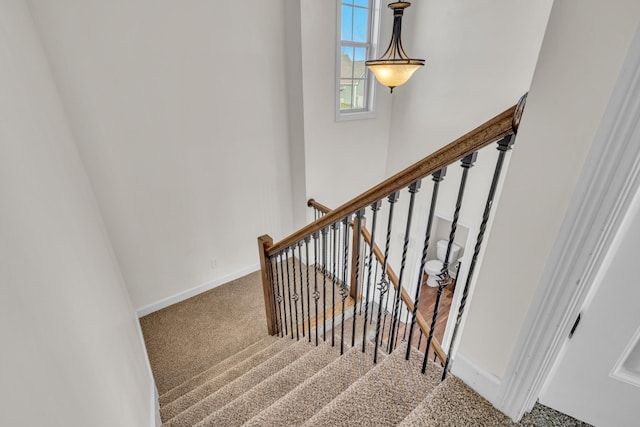 stairs with carpet flooring