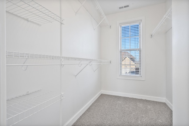 spacious closet featuring carpet